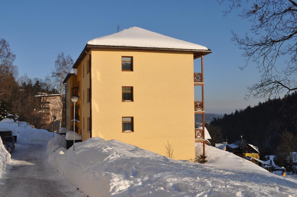 Apartman Kamila Janske Lazne Rum bild
